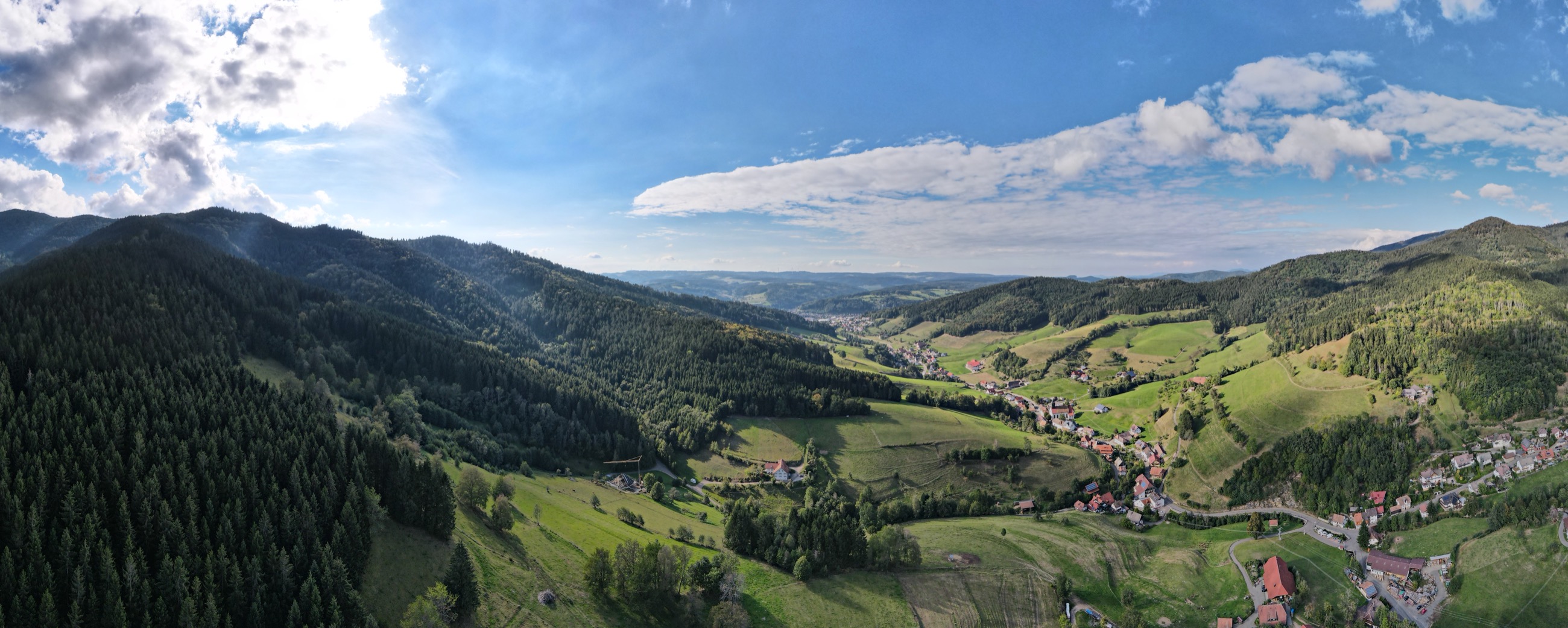 Black Forest panorama